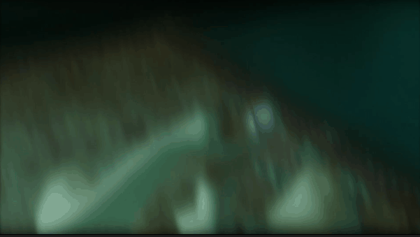 动画 (2534).gif